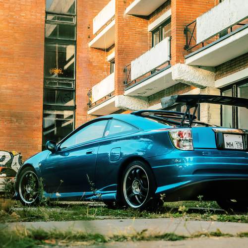 Photo #10544470