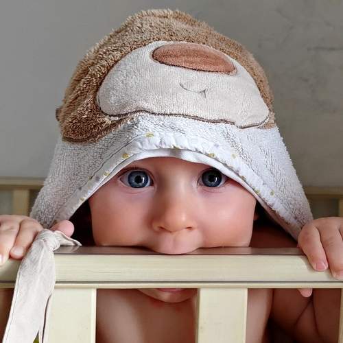 Photo #10544915