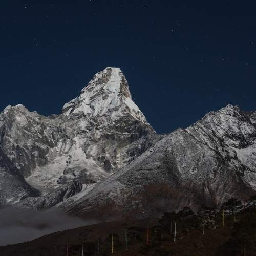 Photo #10545353
