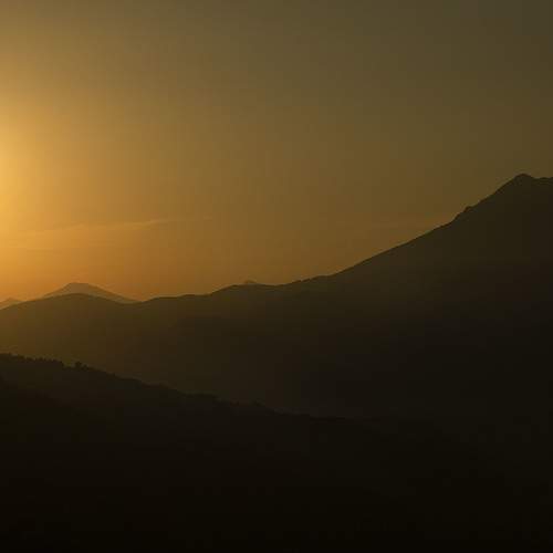 Photo #10545466