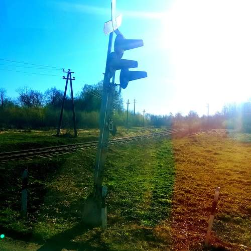 Photo #10545890