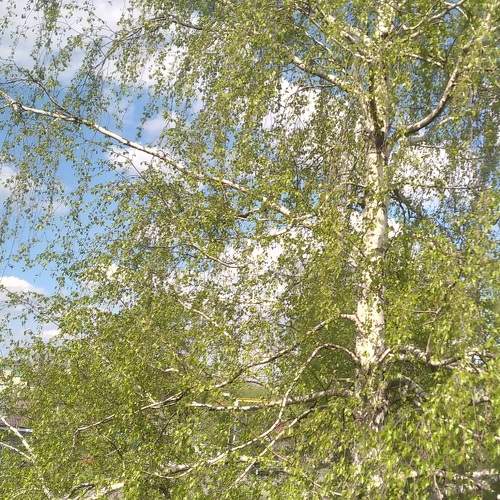 Photo #10546096