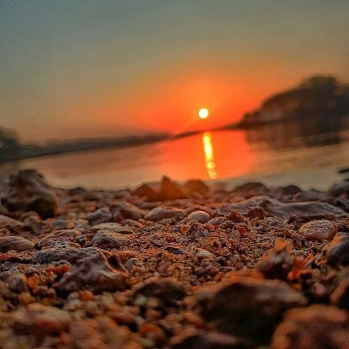 Photo #10546139