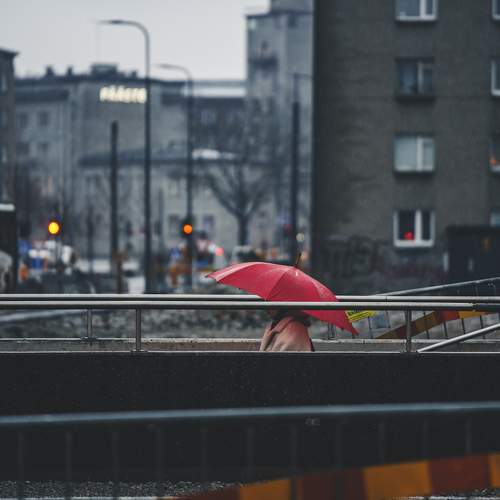 Photo #10546389