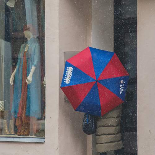 Photo #10546395