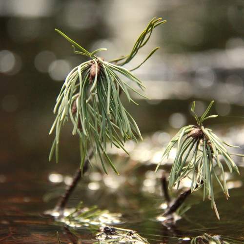 Photo #10546484