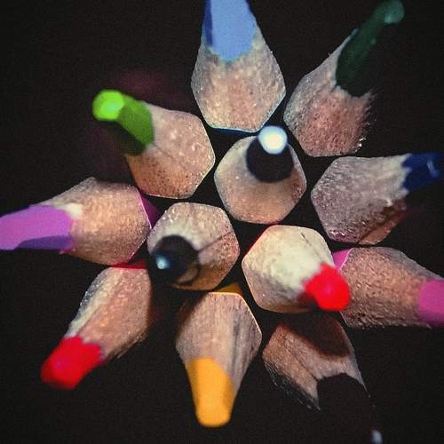 Photo #10546646