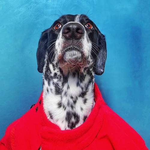 Photo #10546722