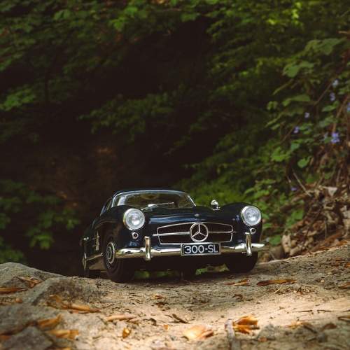 Photo #10546735