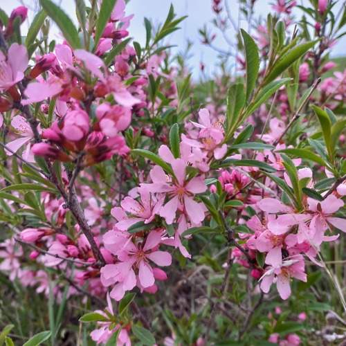Photo #10546816