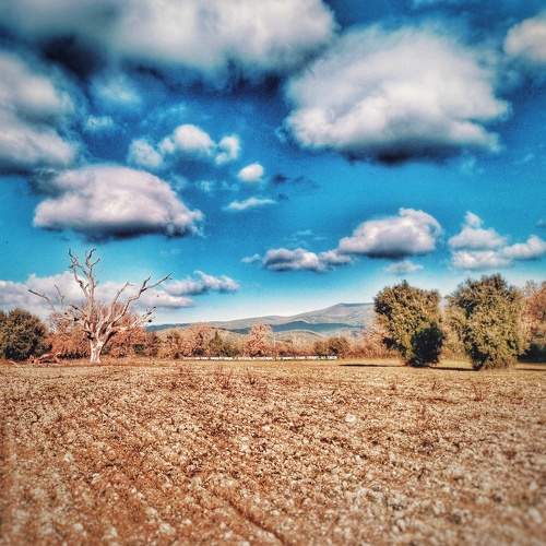 Photo #10547021