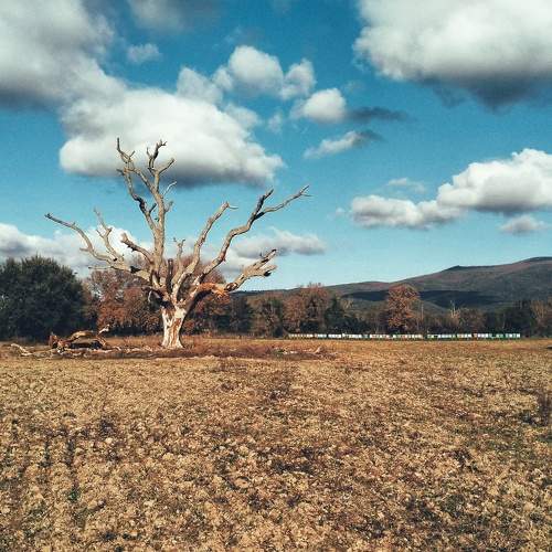 Photo #10547022