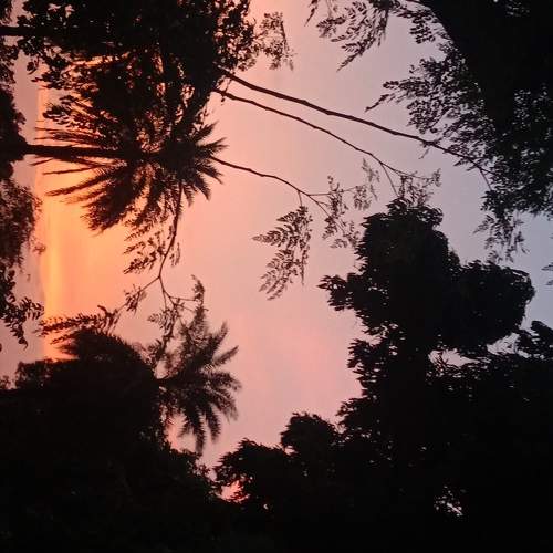 Photo #10547874