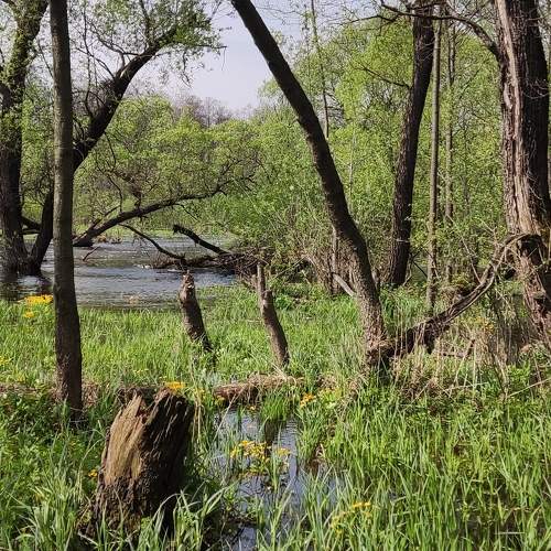 Photo #10548016