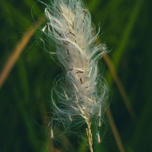 Photo #10548310