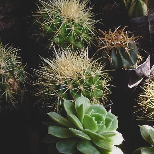 Photo #10548334