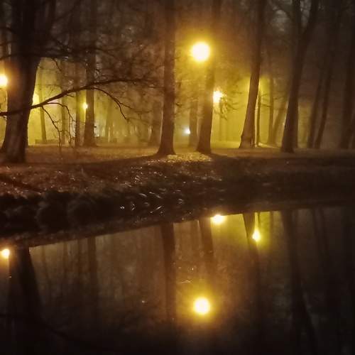 Photo #10548925