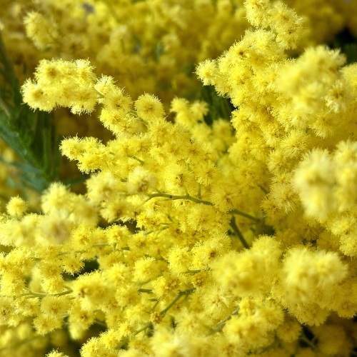 Photo #10549018
