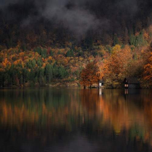 Photo #10549428