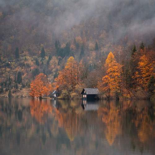 Photo #10549429
