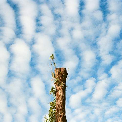 Photo #10549868
