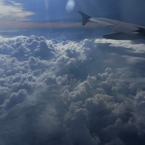 Photo #10549869