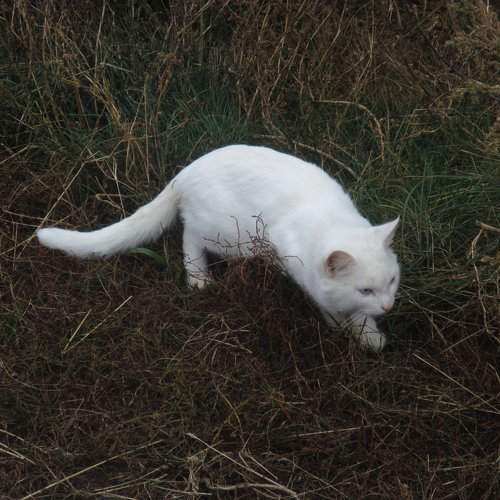 Photo #1057323