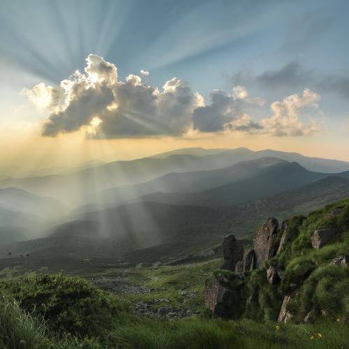 Солнечные лучи