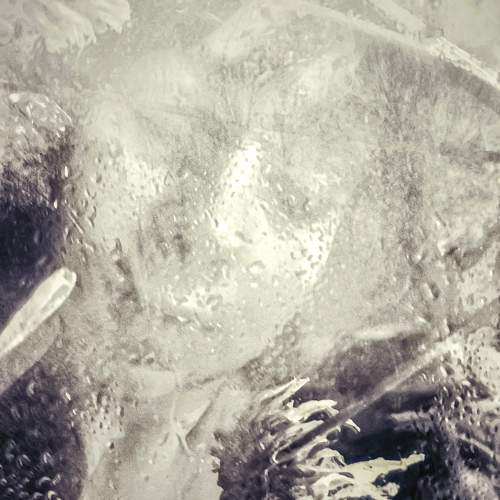 Photo #10550163