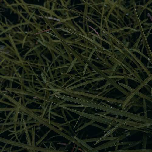Photo #10550165