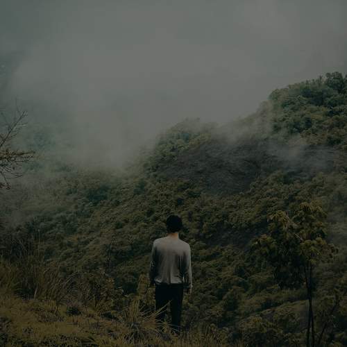 Photo #10550170
