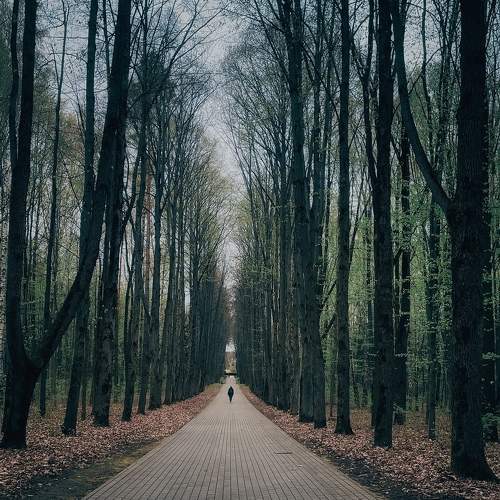 Photo #10550654