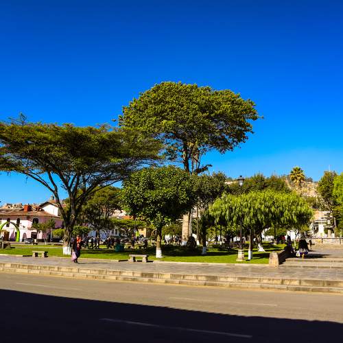 Photo #10550782