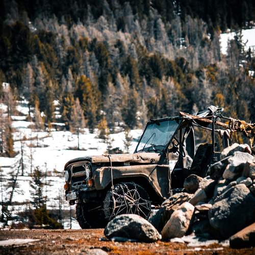 Photo #10551159