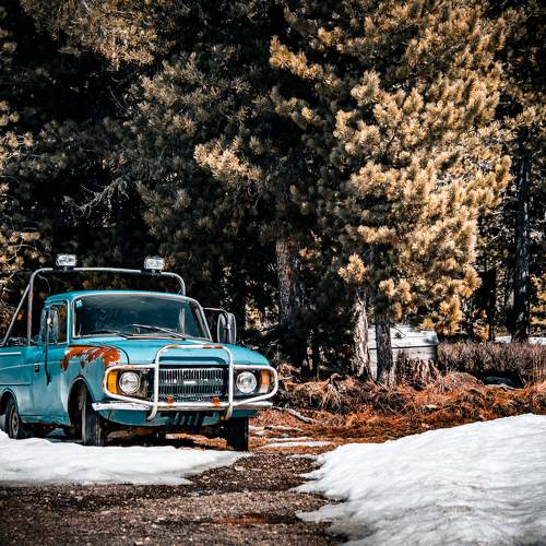 Photo #10551192