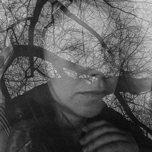 Photo #10551340