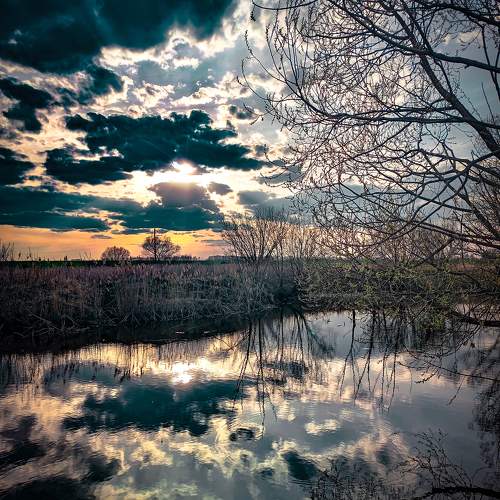 Photo #10551620