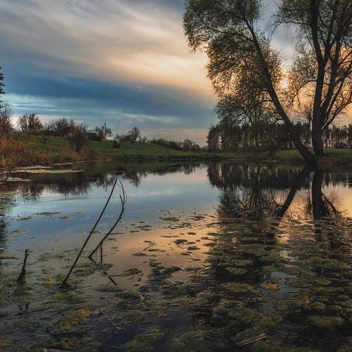 Photo #10551917