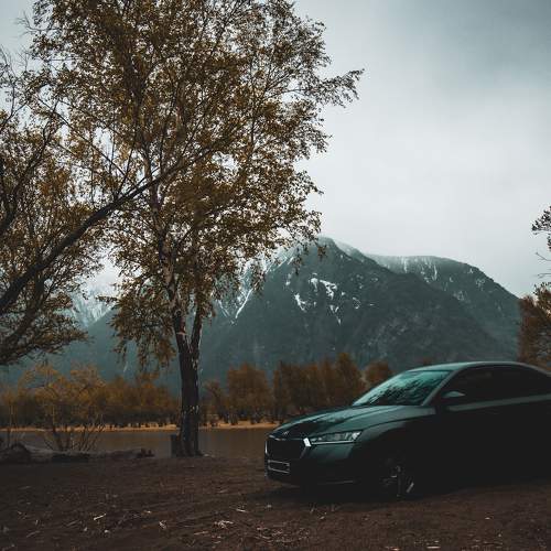 Photo #10552146