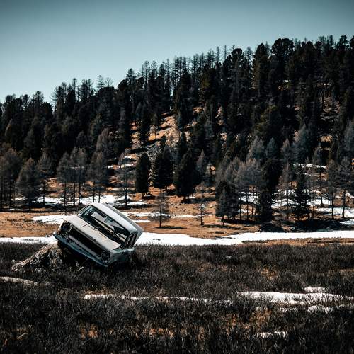 Photo #10552154