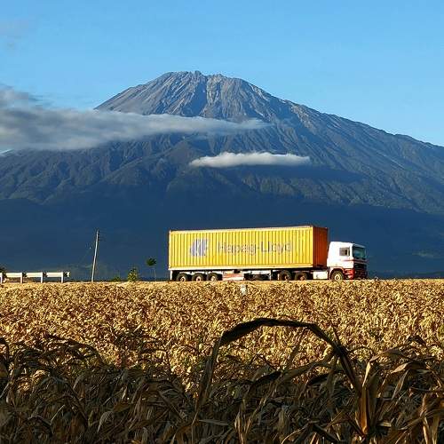 Photo #10552188