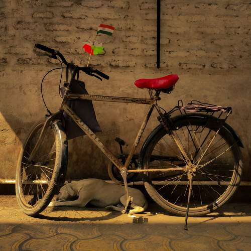 Photo #10552520