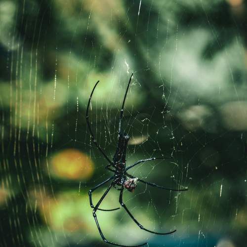 Photo #10552682