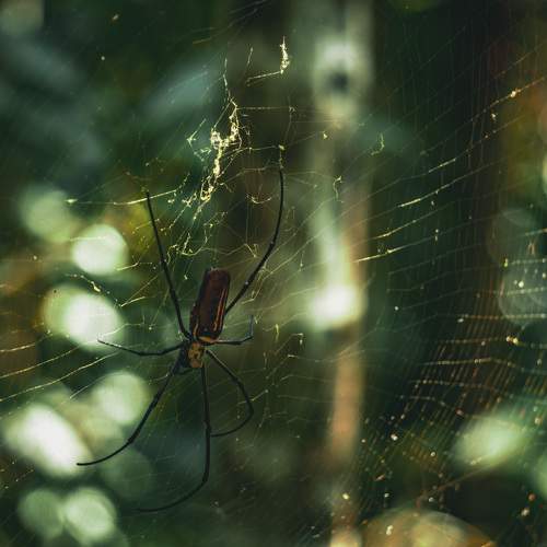 Photo #10552694