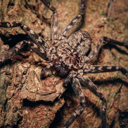 Photo #10552702