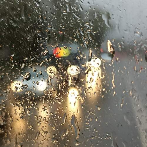 Photo #10552951