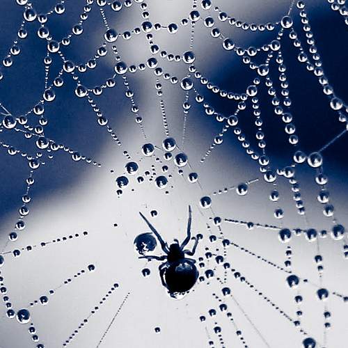 Photo #10552996
