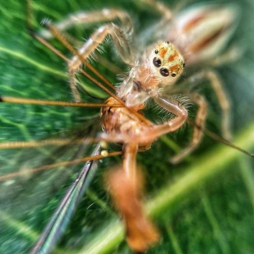 Photo #10553080