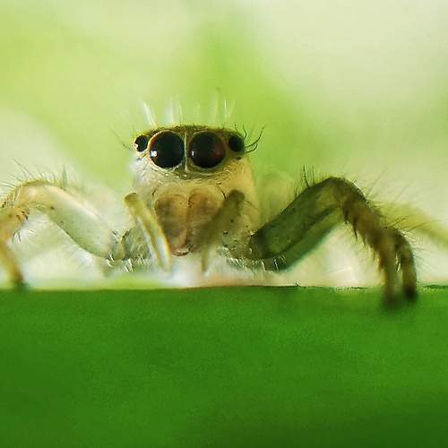 Photo #10553085