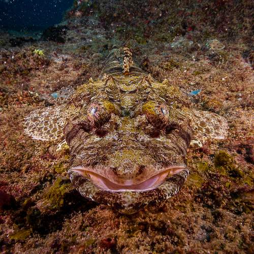 Фотография #10553170